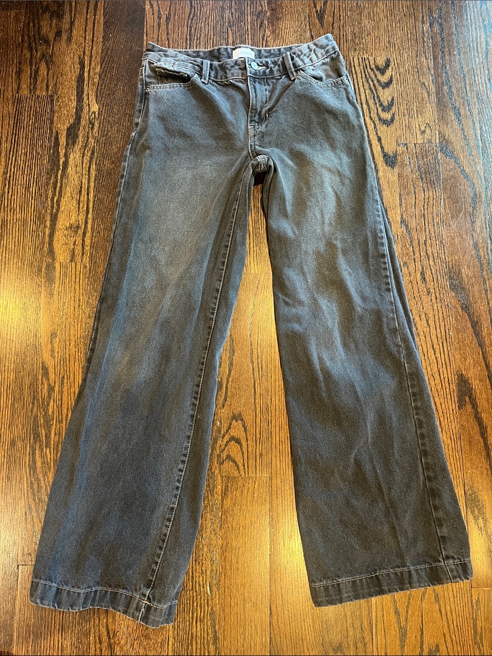 PacSun Women's Casey Low Rise Baggy Gray Jeans.  Size 26